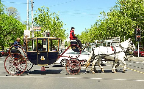 һ������������