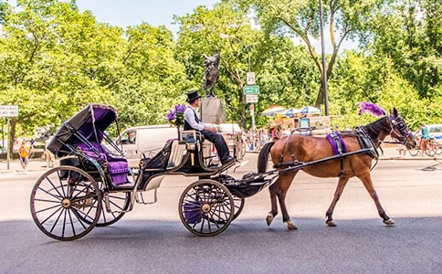 �����ӵܸտ�ʼ��������ѧ ��Ǩ�о�����������