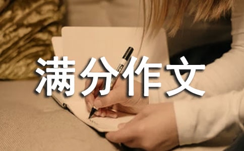 这里也有乐趣满分作文800字