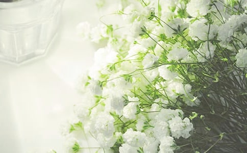 ���е���������������