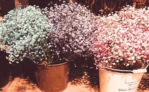 �����ǳ�������