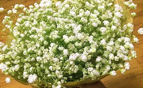 ��д�������ǵ�����