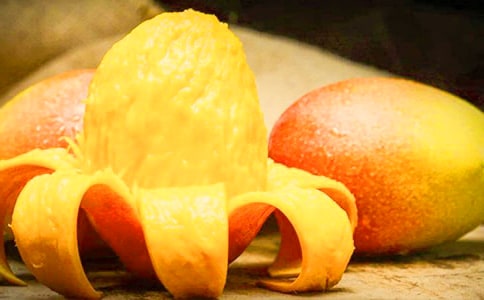 观察芒果日记(通用20篇)