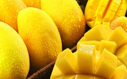 [��ѡ]â����������