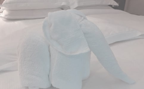 洗毛巾作文300字_小学生作文