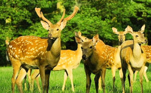 ÷��¹���ռ�����400��