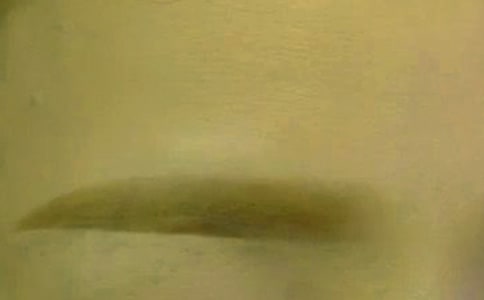 ��üë_600��