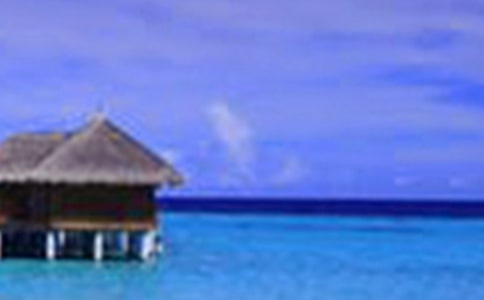 【精选】三年级美景作文300字四篇