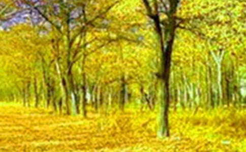 ���е���������(ͨ��15ƪ)