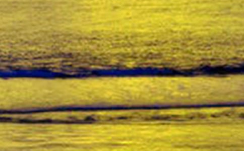 心中的美景作文(汇编15篇)