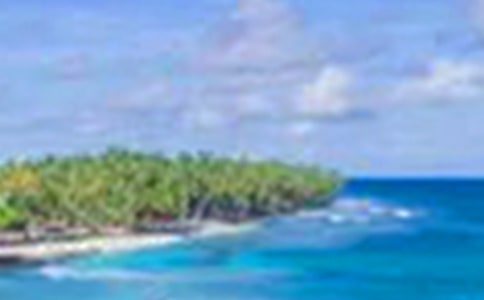 ���е���������