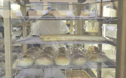 ��ѧ������괴ҵ�ƻ���