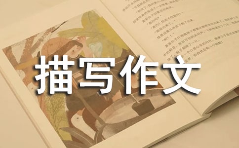 ����������д����