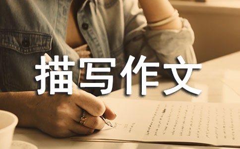 ʵ�õĳ���������д������ƪ