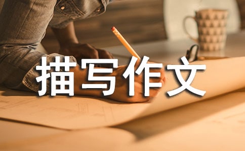 《迟到》的心理活动描写作文