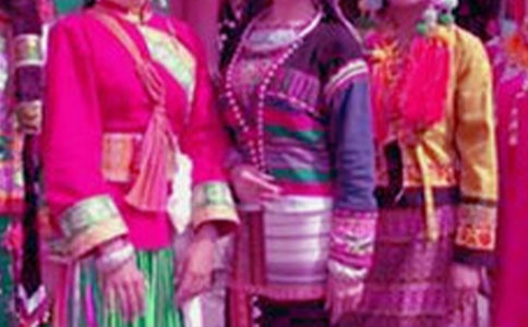 传统作文优秀的中华民族