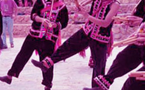 清朝统一多民族国家的巩固