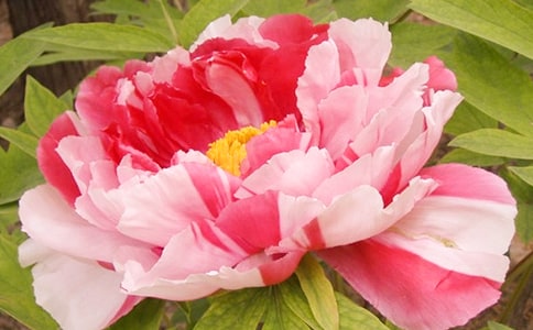 ����ĵ�����ľ���22��