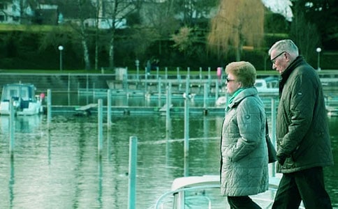 奶奶的菜园记叙文