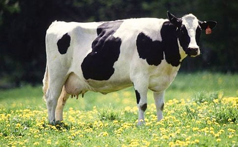 �а���������̰���������ţ������˼