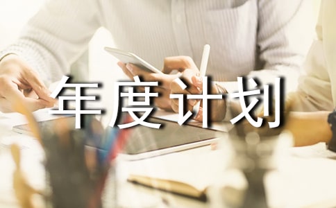 协会年度计划与长远规划