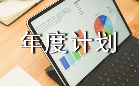 实用的年度计划模板汇编五篇