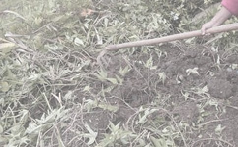 ����ũ������