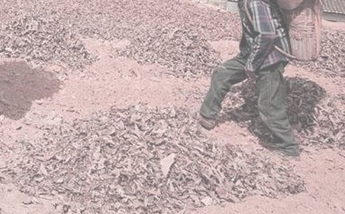 干农活作文400字(通用37篇)