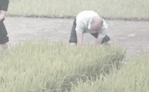 ��һ�θ�ũ������