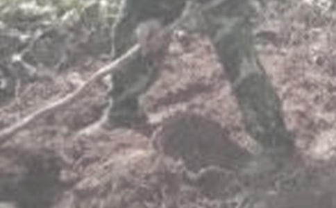 干农活的经典说说(720句)