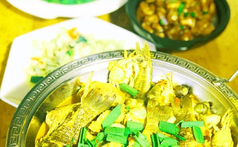 诗意农家乐作文