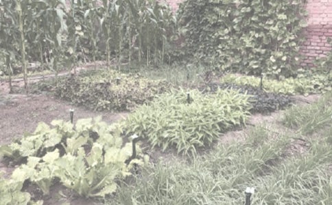 ����ũ����ո�����ʳ�þ�����Խ��