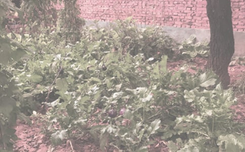 ũ��������ԤԼ������ͬ(GF--96--0154)