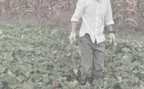 δ����ũ������������