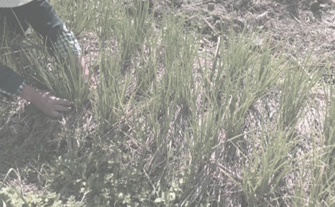 ��ũ���������������⡷��