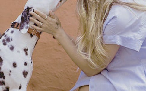 Ů������Ҫ��������