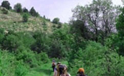 难忘的爬山活动作文