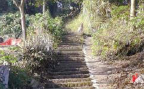 ��ɽСѧ�ռ�