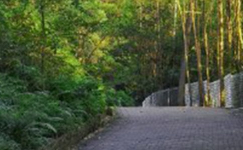 ����ɽ���Ľš��̰�