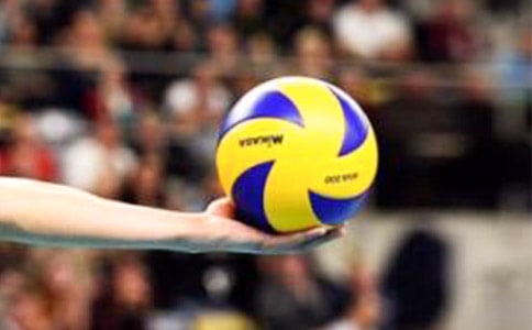 ����ѡ������̰�