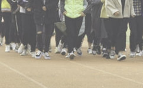 �ܲٵ����ģ�ͨ��29ƪ��