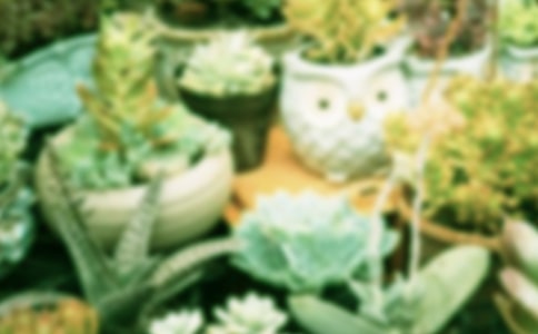 ���Ի�������ʱ��