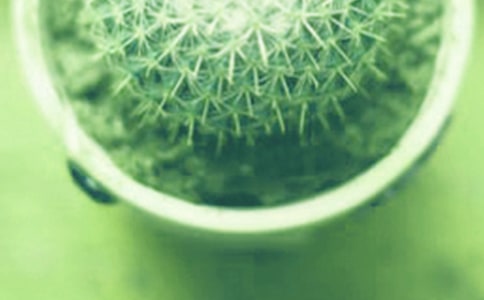 С��������