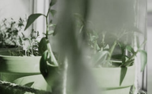 �������Ե�����