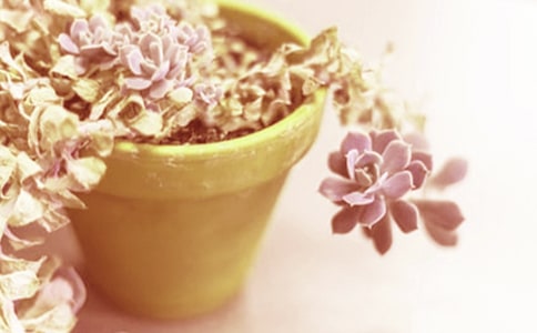 �ҵ�С��������250��