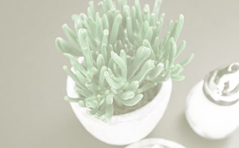 �����������Լ���