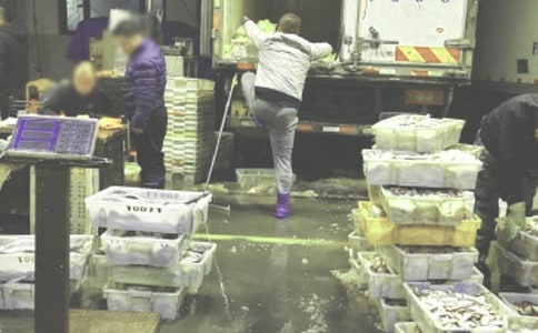 服装批发购销合同