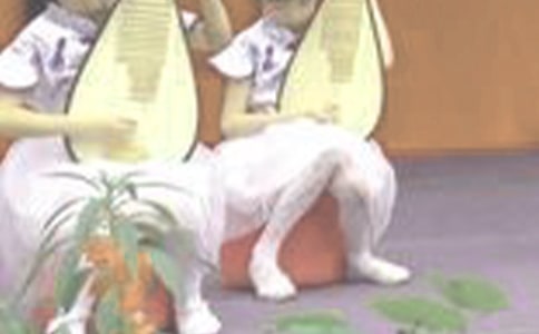 琵琶行并序教案