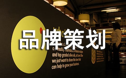 最新品牌策划书大全(10篇)