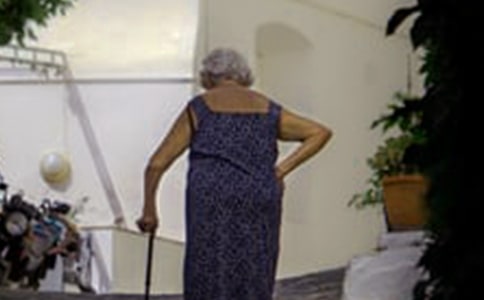 �װ�������лл��ɢ��